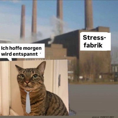 Der-tägliche-Kampf-im-Büro-Dschungel.jpg von Lucie37