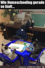 Homeschooling.jpg auf www.funpot.net