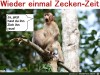 weiter