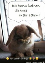 Ich-will-Frhling.jpg auf www.funpot.net