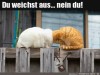 weiter
