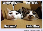 Den-Katzen-ist-es-langweilig.jpg auf www.funpot.net