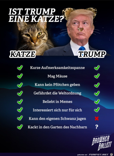 Ist-Trump-eine-Katze.png von Nogula