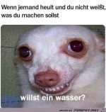 Willst-du-ein-Wasser?.jpg auf www.funpot.net