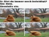 weiter