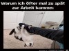 weiter