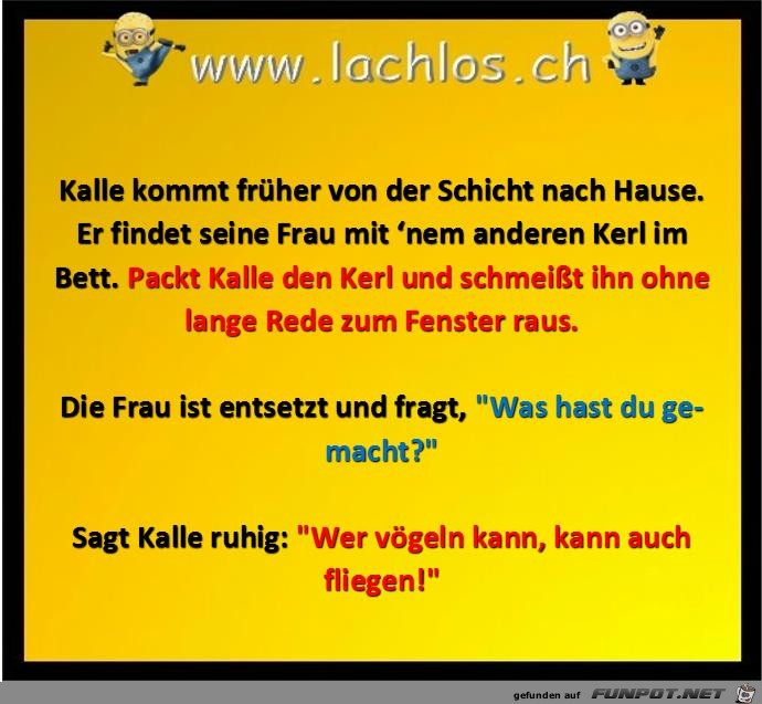 der kann auch fliegen der kann auch fliegen