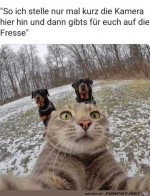 Nur-noch-kurz-die-Kamera-aufstellen.jpg auf www.funpot.net