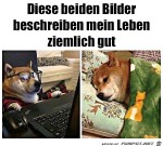 Mein-Leben-im-Lockdown.jpg auf www.funpot.net
