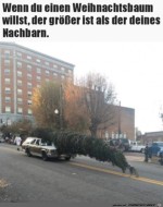 Riesiger-Weihnachtsbaum.jpg auf www.funpot.net