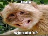 weiter