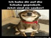 weiter