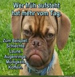 Wer-frueh-aufsteht.jpg auf www.funpot.net