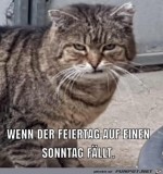 Feiertag-am-Sonntag.jpg auf www.funpot.net