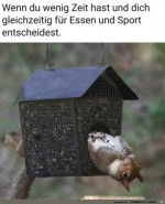 Essen-und-Sport-gleichzeitig.jpg auf www.funpot.net