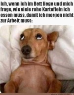Denk-gut-nach.jpg auf www.funpot.net