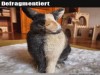 weiter
