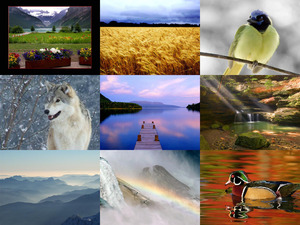 CanadaMaravilhoso 1