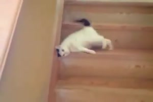 Ich hab kein Bock heute