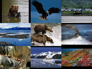 klicke hier, um die Datei herunterzuladen Alaska