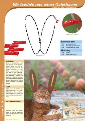 falscher Hase