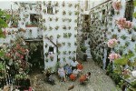 Blumen-giessen12.pps auf www.funpot.net