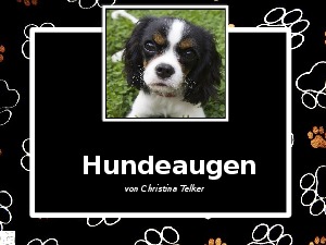 klicke hier, um die Datei herunterzuladen Hundeaugen
