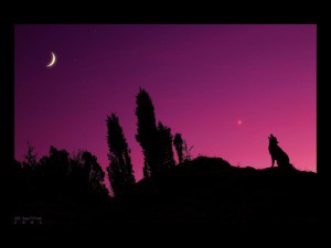 Der Mond