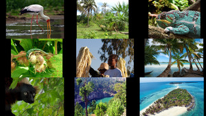 klicke hier, um die Datei herunterzuladen Madagaskar 3