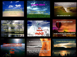 Eine-verr-ckte-Liebe