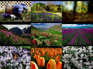 spring is here 1