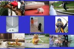 nice-pictures.pps auf www.funpot.net