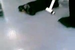 nicht-schnell-genug.mp4 auf www.funpot.net