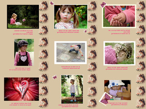 Der-rosarote-Schmetterling