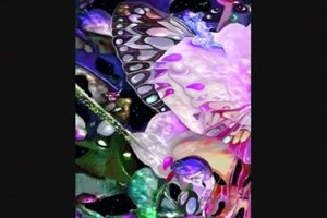 Butterfly Art