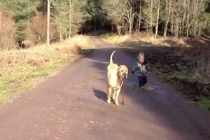 Best friends - YouTube