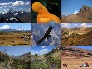 klicke hier, um die Datei herunterzuladen Andes 2