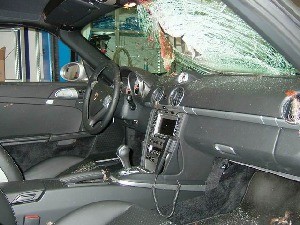 Ein Huhn bei Tempo 260