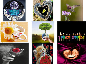 Wow einzigartige Bilder 24