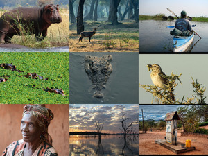 Zambia 3
