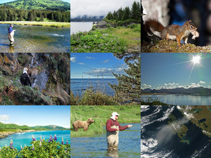 klicke hier, um die Datei herunterzuladen Kodiak Island