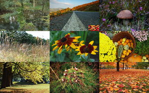 Herbst 2014