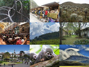 klicke hier, um die Datei herunterzuladen Ecuador 1