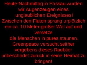klicke hier, um die Datei herunterzuladen Antiquus 1004 - Hochwasser in Passau