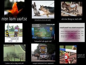nur Bilder5
