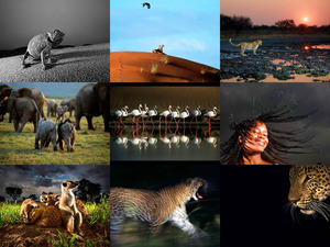 Photograph Heinrich van den Berg- Afrika Bilder