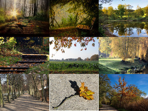 Herfst 9