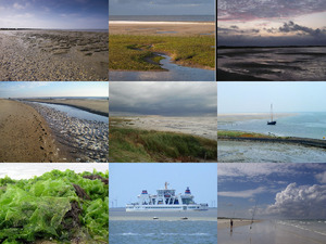 Waddenzee
