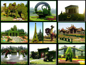 ChineseplantartLAU