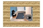 witzige-Bilder-aus-der-Tierwelt.pdf auf www.funpot.net